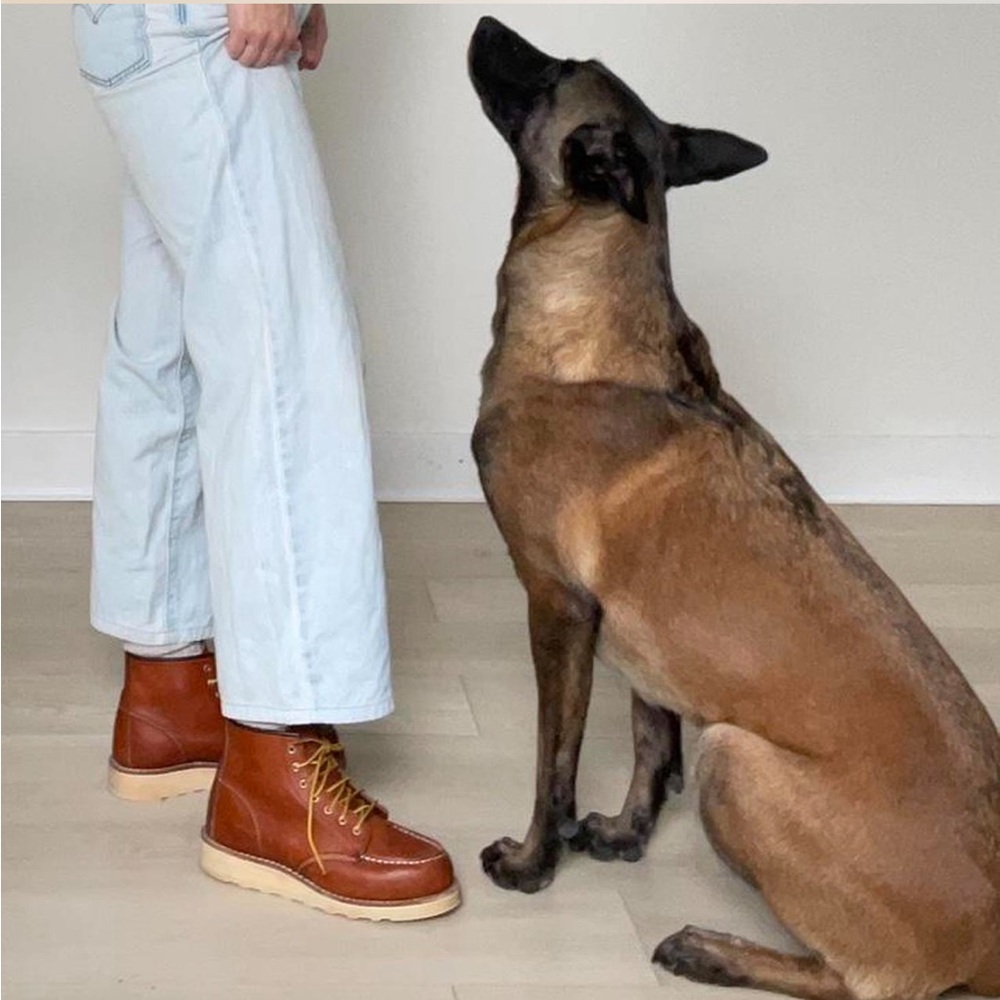 Brown Red Wing Classic Moc Heritage Lace-Up Boots
